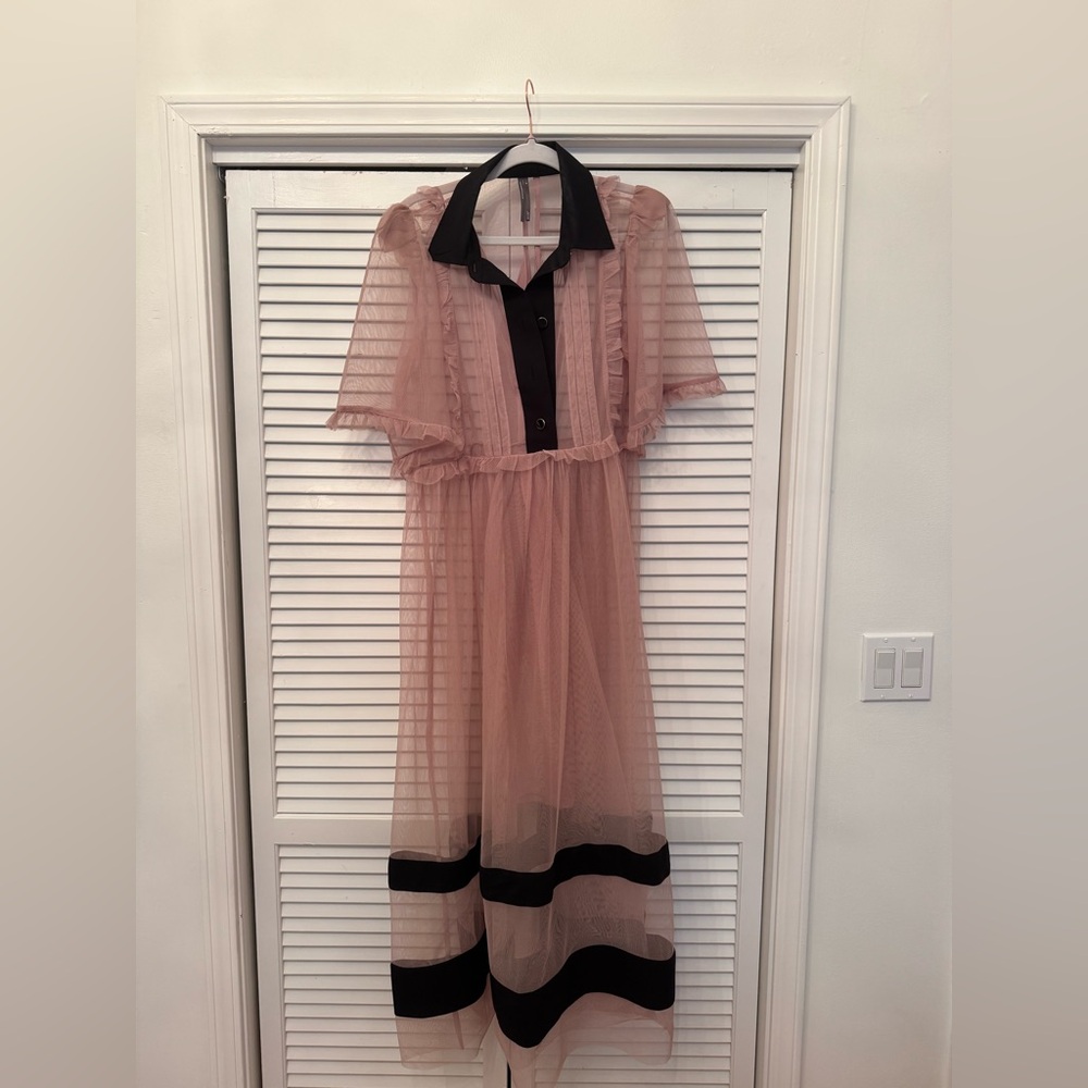 By Anthropologie Sheer Maxi Dress  Color: Pink Size: M - Picture 2 of 6